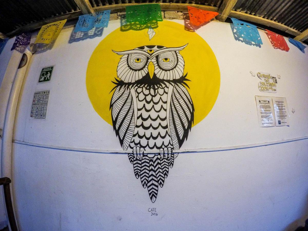 Hostel El Nagual San Cristóbal de Las Casas Eksteriør bilde
